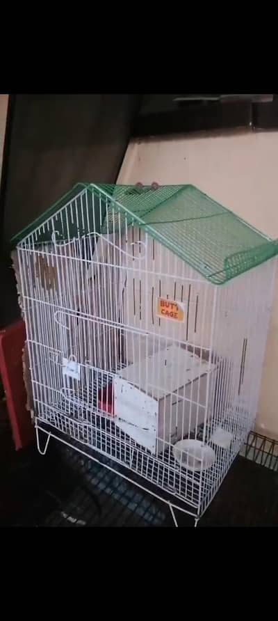 High-Quality Bird Cages for Sale