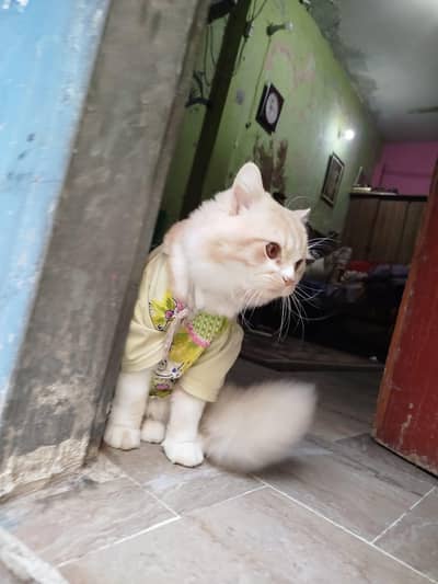 10 thousands for sale