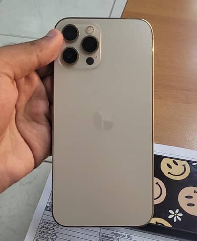 IPHONE 12 PRO MAX 256 GB