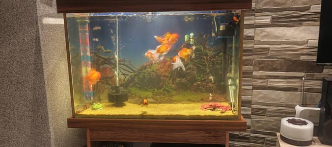 3 ft Aquarium in 8mm glass
