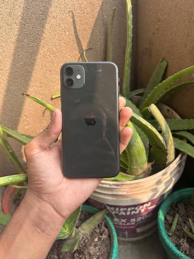 11 non pta fac unlock