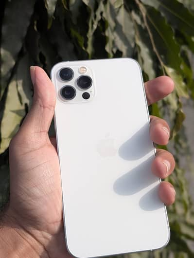 i phone 12 pro  Official PTA Approved