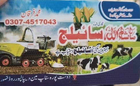 Corn Silage/ Animal Silage/Animal Feeds