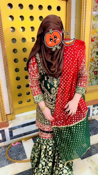 Beautiful Dress Large Size