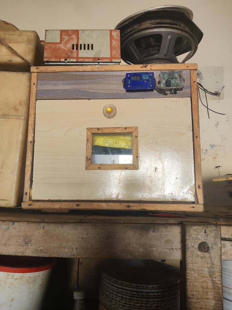 incubator 0