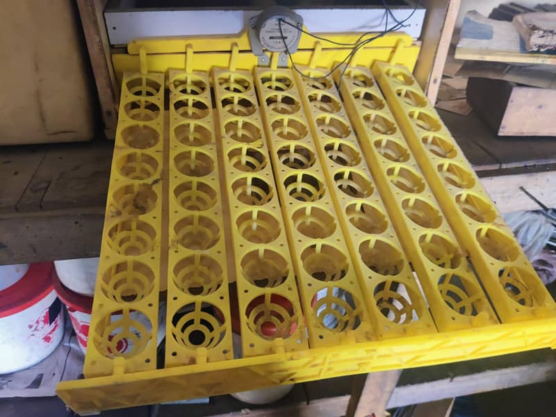 incubator 3