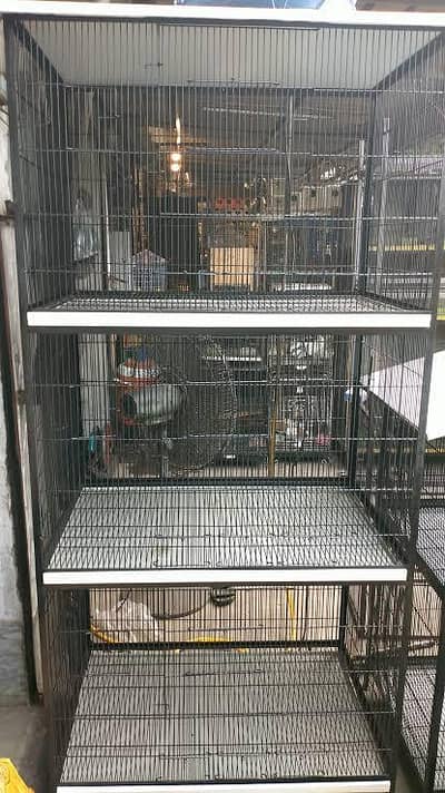 parrot Cage 3 poshan