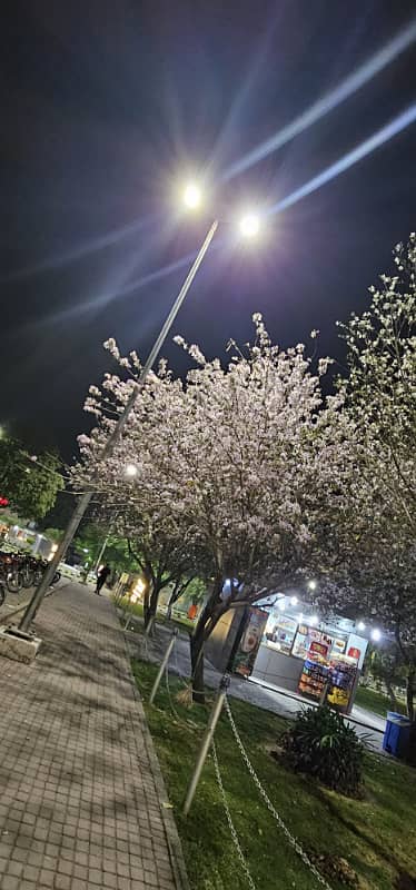 1 Kanal Beautiful House for Sale Investor deal