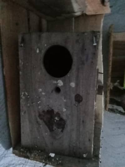 2pair 1male 1box 2house 6matki