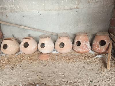 Matkian and cage front