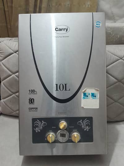 CARRY INSTANT GEYSER  10 LITER