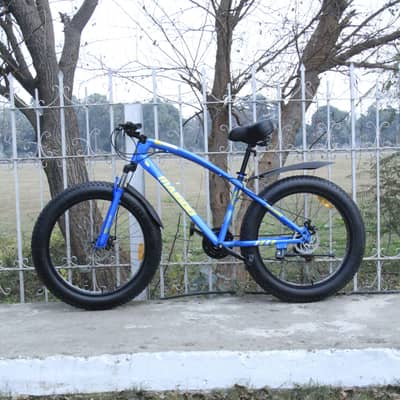 Fat bike