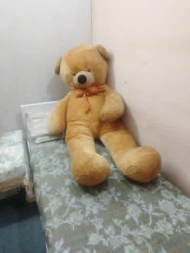 Life sized teddy bear