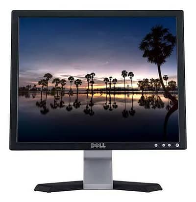 Dell 17 Inch Monitor