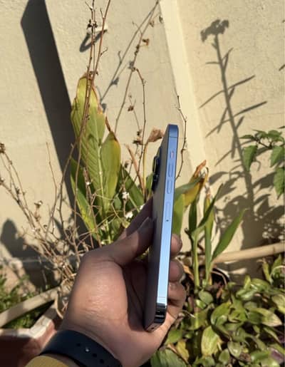 13 pro Max Lush Condition