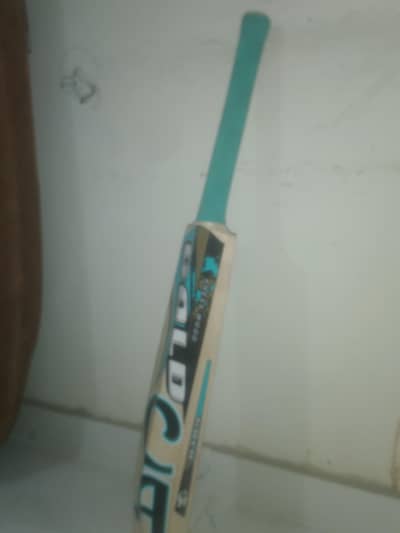 hard ball cricket bat CA