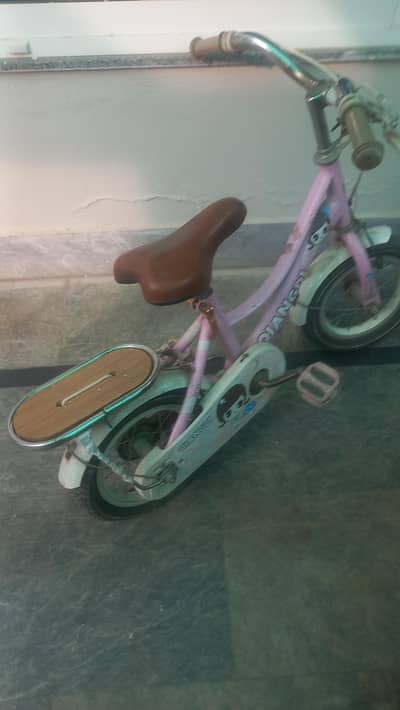 kids bicycle
