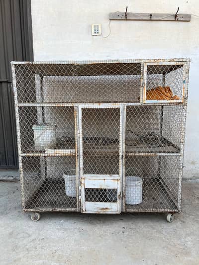 bird & hens cage  for sell
