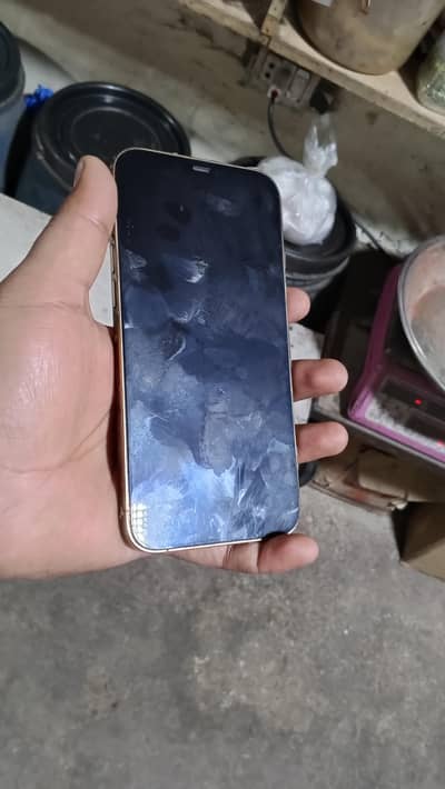 Iphone 12 pro max PTA approved