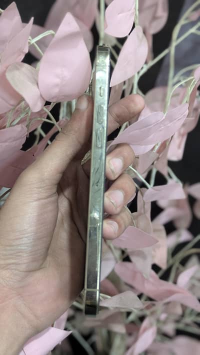 iphone 128gb non pta