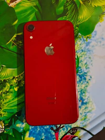 iPhone XR non pta 128 03279523/289