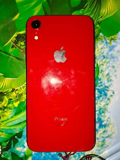 iPhone XR non pta 128gb 03279523/289