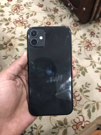 iPhone 11 WaterPack