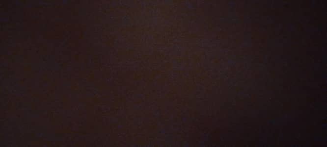 Freshie/Barista required