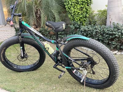 Fat tyre bicycle