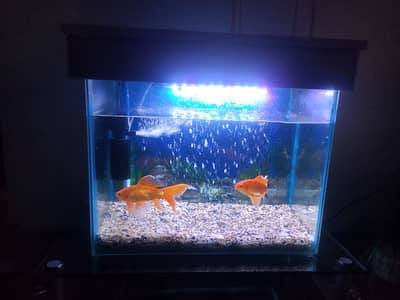 Silent Beauty of Water