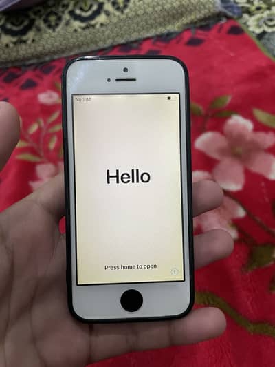 iPhone 5s PTA approved