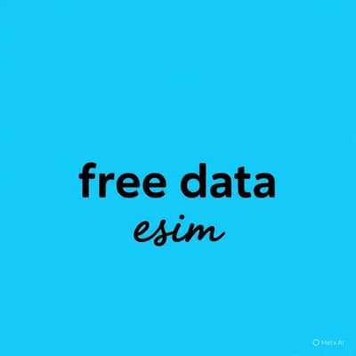 Life time free data Esim for non pta iphones