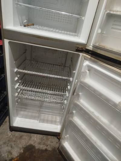 pel full size fridge