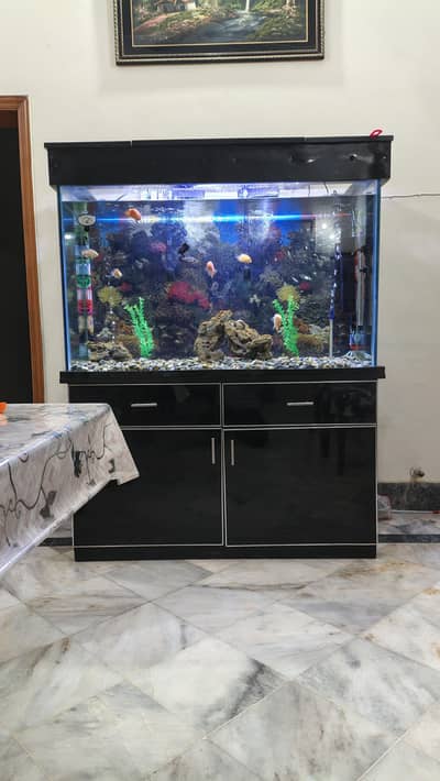 4 feet aquarium with Fishes in 10 by 10 condition