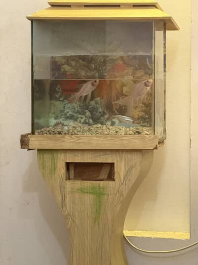 Aquarium