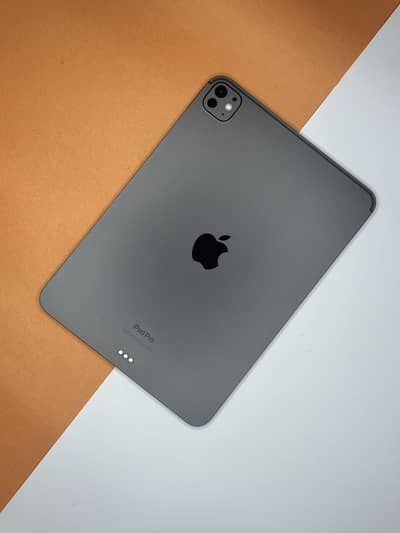 IPAD PRO M4 (WiFi)