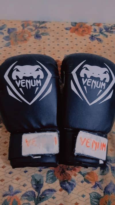 BOXING  gloves