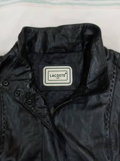 Jacket Lacoste