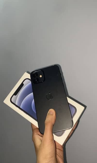 IPHONE 12 (JV)