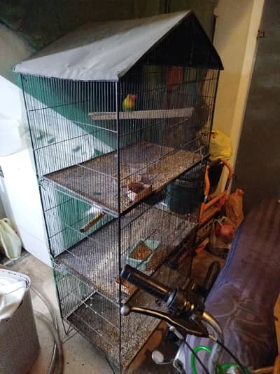 Urgent Sale Bird Cage