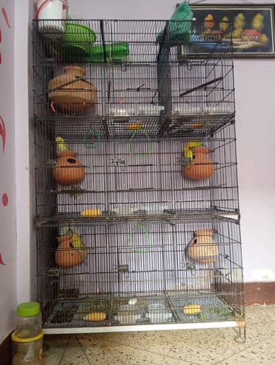 9 portion cage with lovebirds