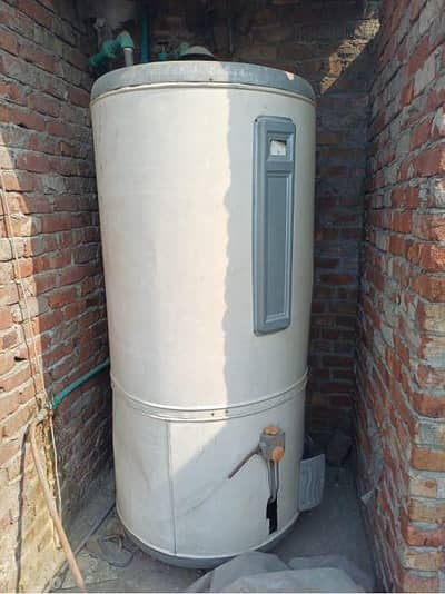 daisy geezer condition All ok big size 200 × gallan. 03009640800