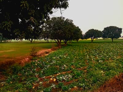 Assignment writing service