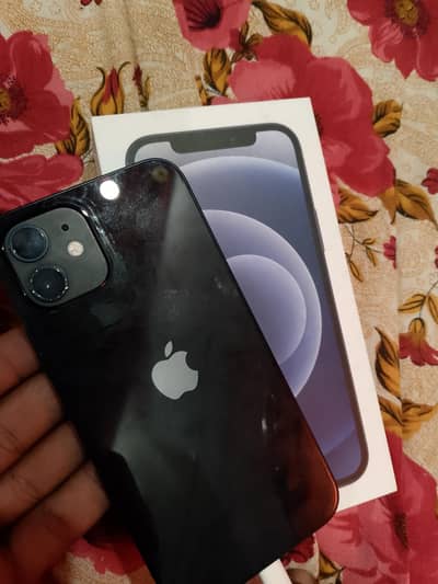 I phone 12 official pta approved physical+esim