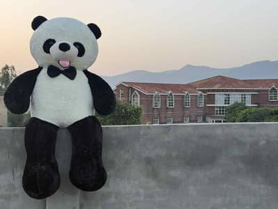 Stuffed Toys Cute & cuddly /Teddy bear1 feet/to 10 collors available