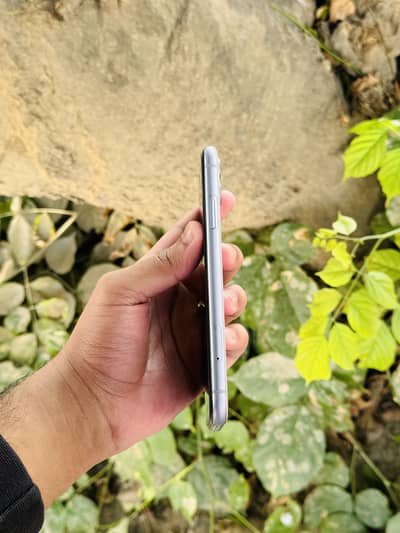 Iphone 11 just bettery change face id true tone all ok