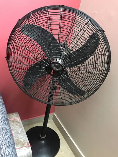 2 Fan silling Fan & pedestal Fan