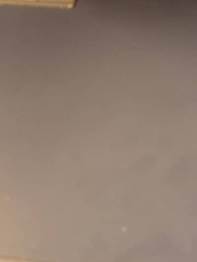 We need females for different jobs