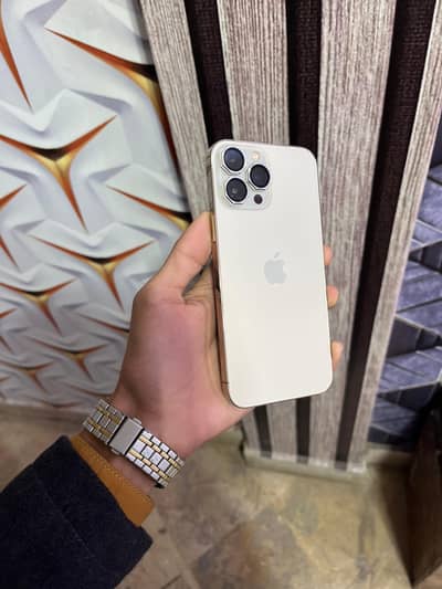 iPhone 13Pro Max 256Gb