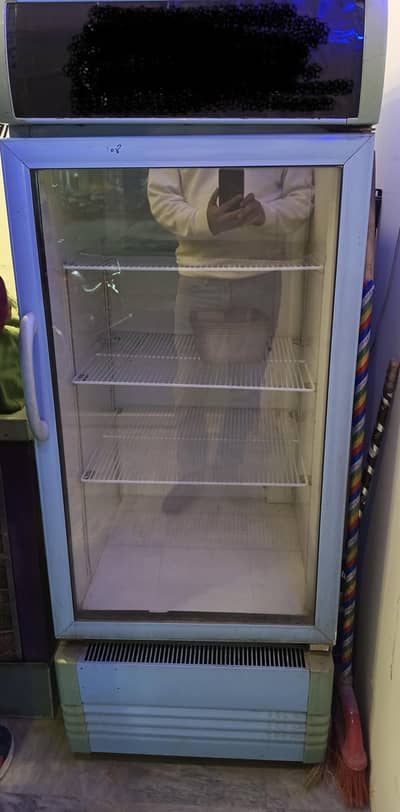 Shop Display Freezer